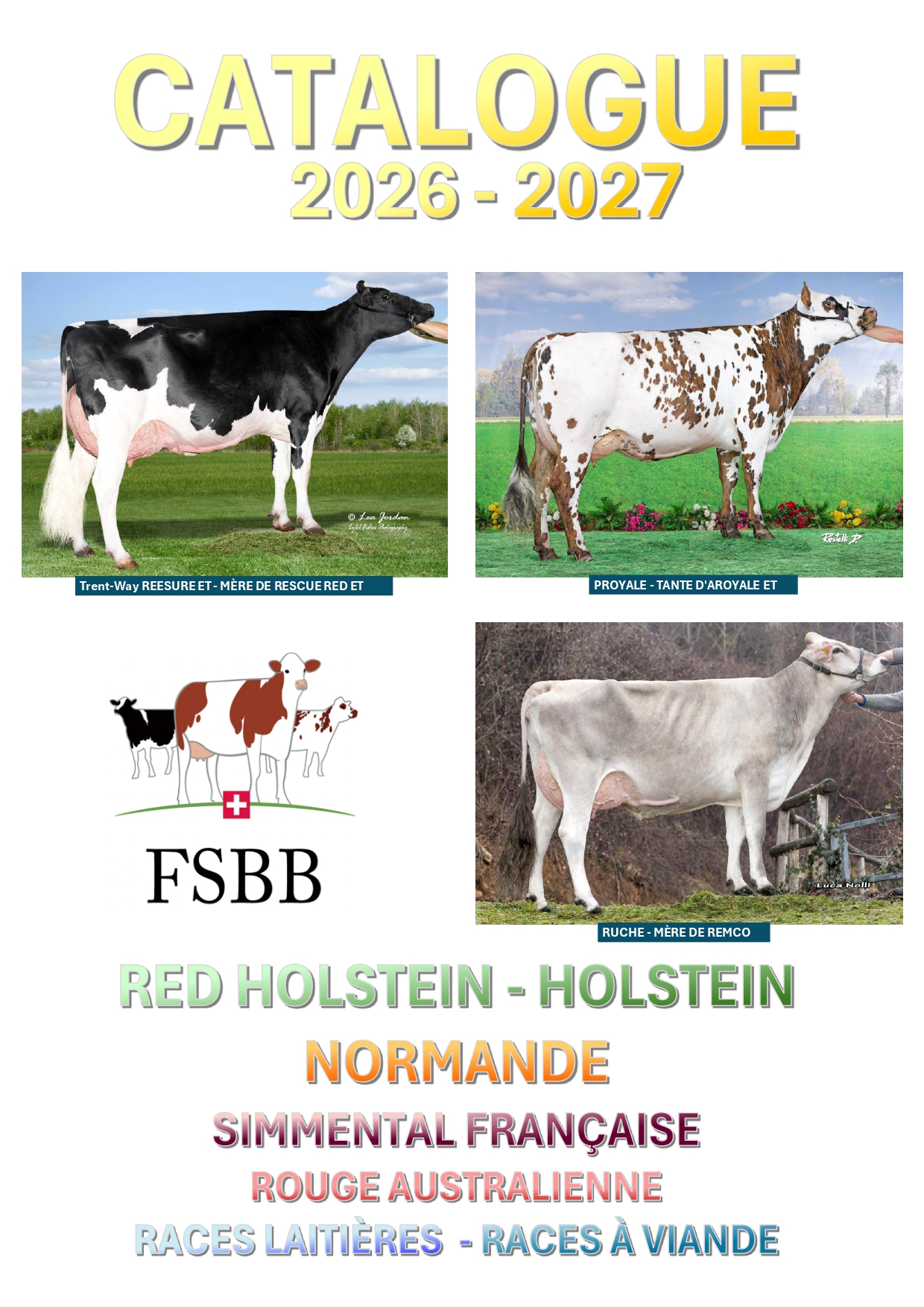 norm
